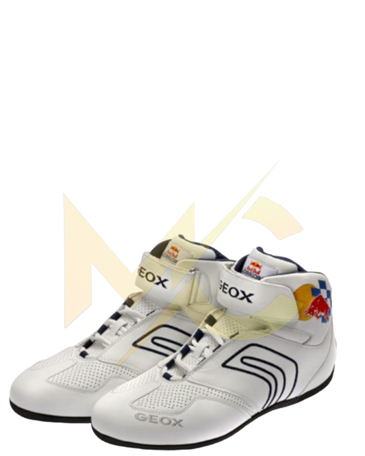 F1 Max verstapen Red bull 2022 race shoes